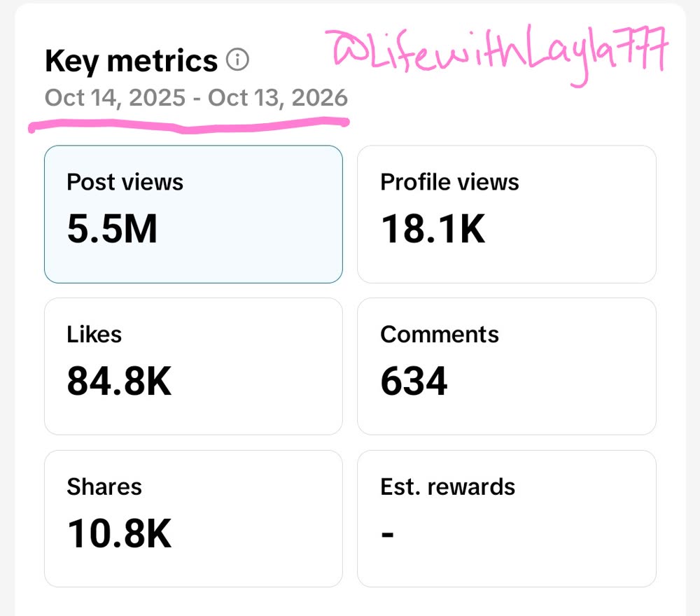 TikTok profile analytics for the past 12 months